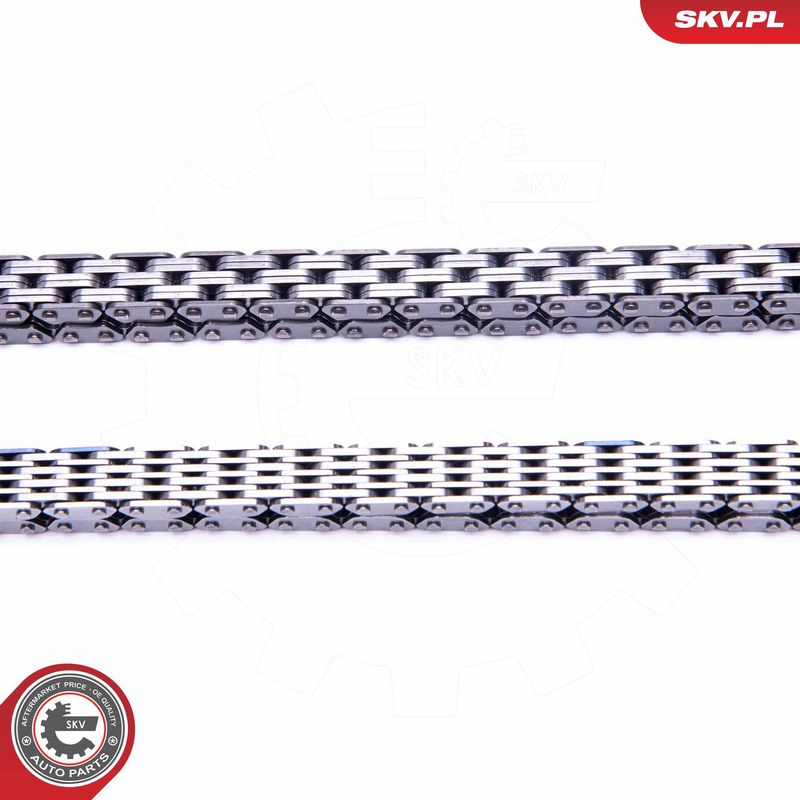 Mootori keti komplekt, ESEN SKV 21SKV161