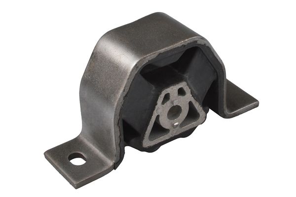 TEDGUM 00212975 Variklio pagalvė