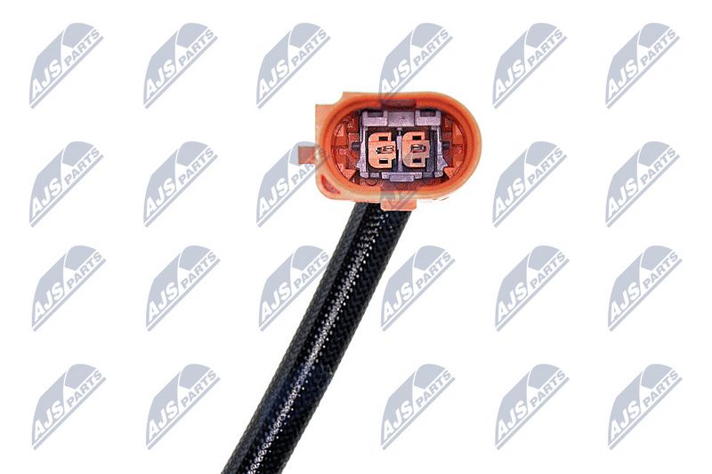 egt-vw-017_3-wm.JPG