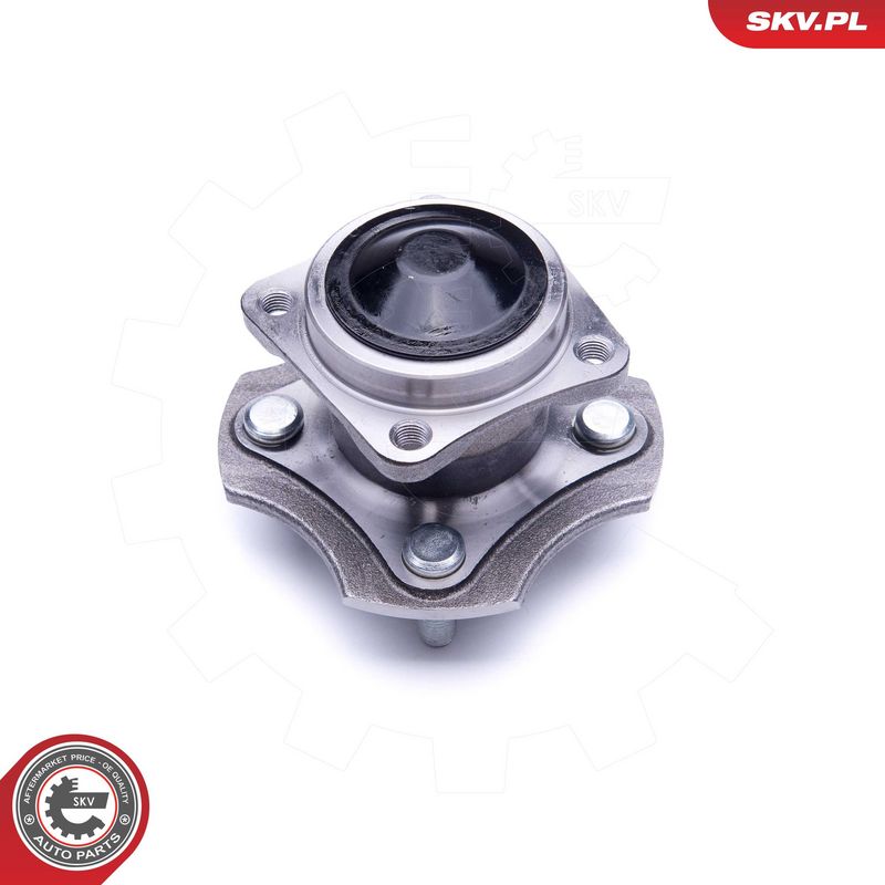 Rattalaagrikomplekt, ESEN...