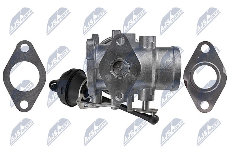 EGR-klapp, NTY EGR-WW-031