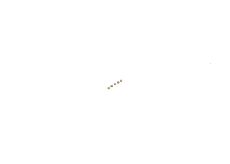 BOSCH F00ZC99750 Repair Kit, common rail system