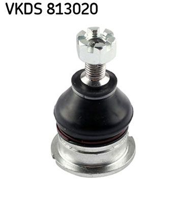 VKDS 813020.JPG