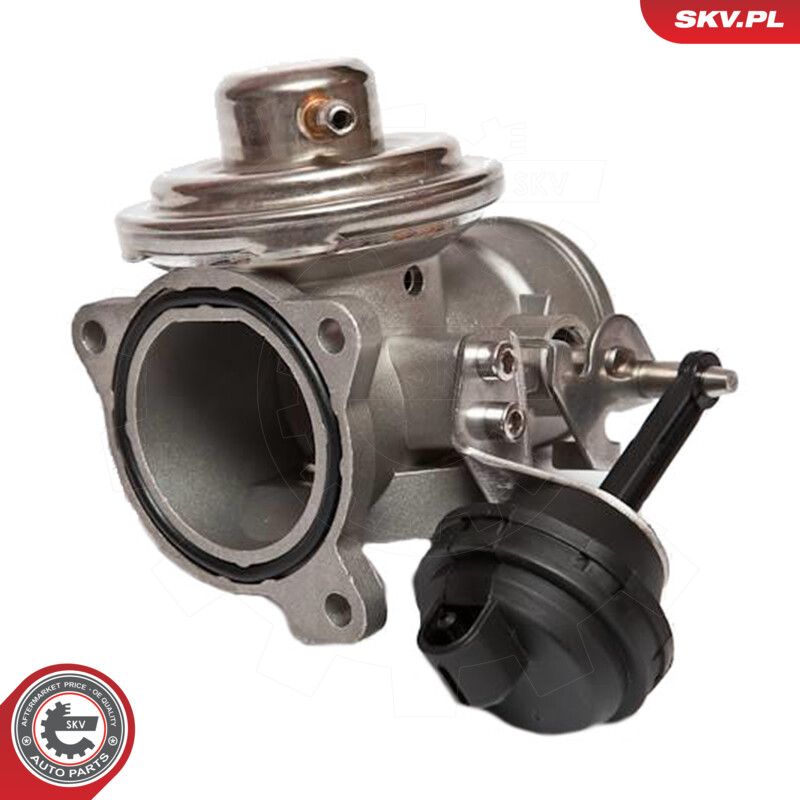 EGR-klapp, ESEN SKV 14SKV020