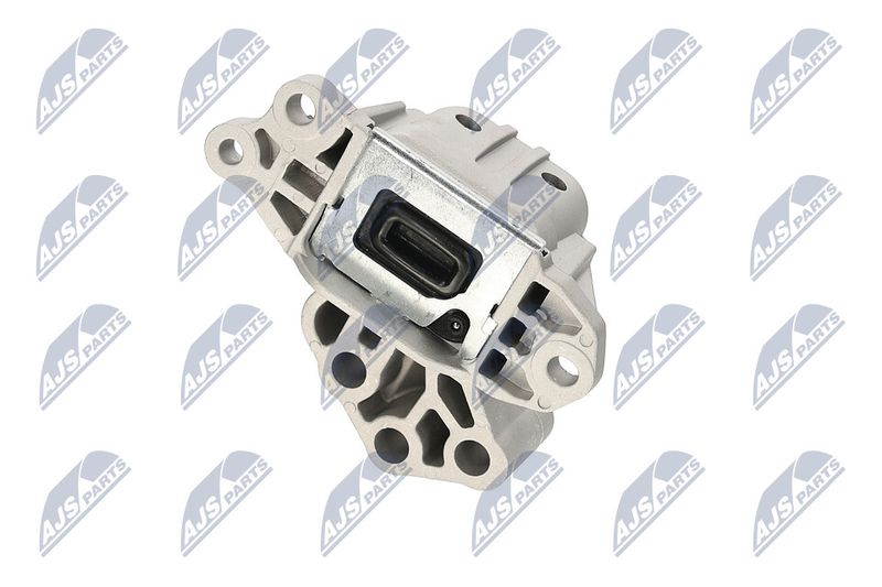 Paigutus, Mootor, NTY ZPS-CH-133