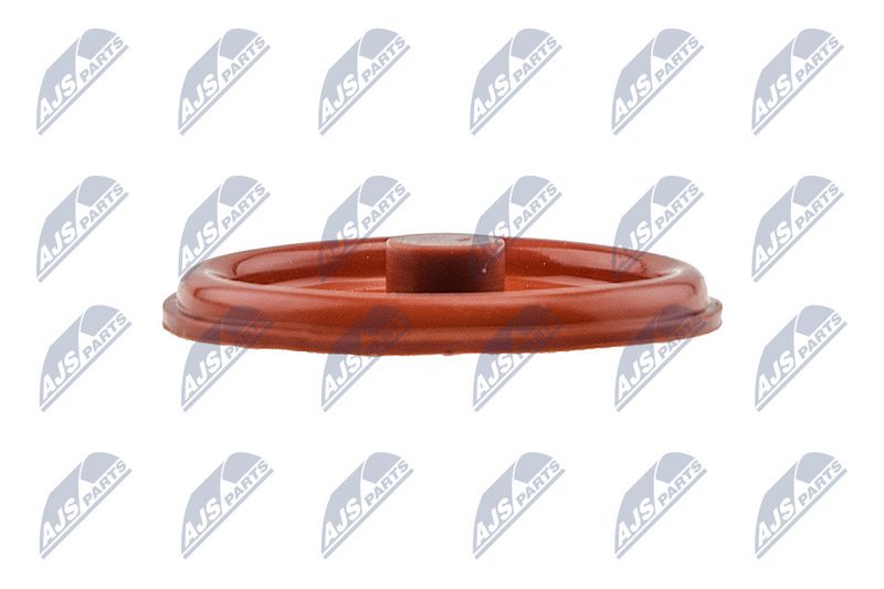 Klapikaas, NTY BPZ-PL-005