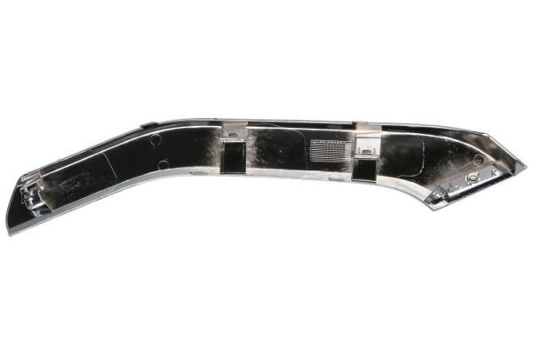 BLIC 5703-05-3754932P Trim/Protection Strip, bumper