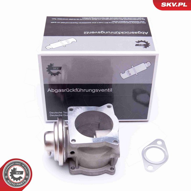ESEN SKV 14SKV108 - EGR Valve