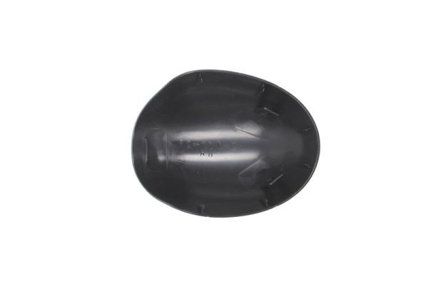 BLIC 6103-09-2002218P Housing, exterior mirror