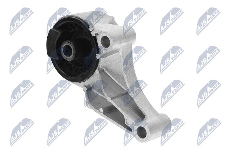Paigutus, Mootor, NTY ZPS-PL-069