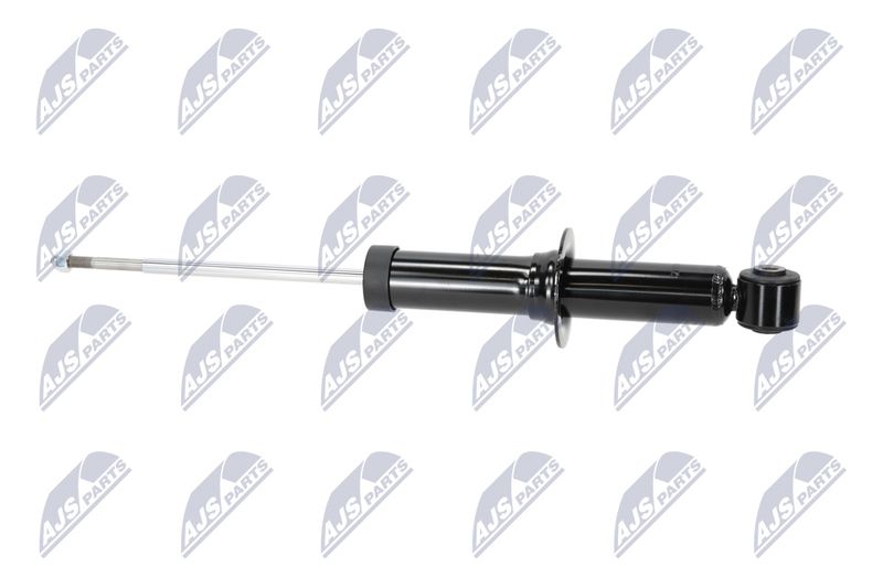 Amort, NTY A-CH-058