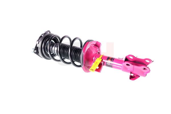 Vedruamort, GH GH-352298C01