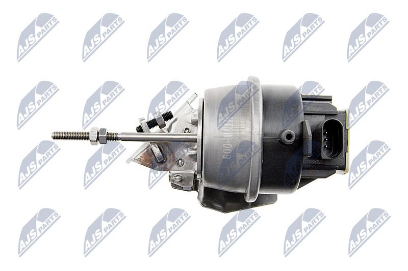 ecd-vw-009_4-wm.JPG
