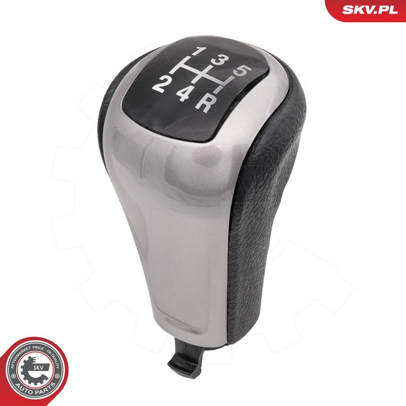 Käigukanginupp, ESEN SKV...