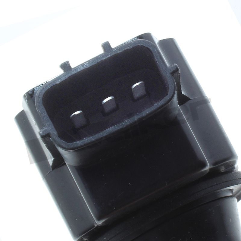 921-2095_2.JPG