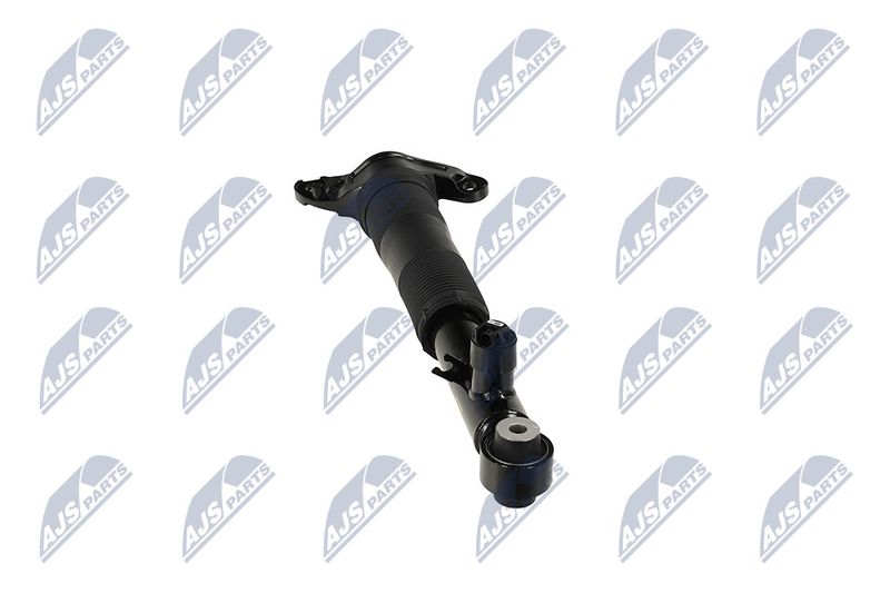 Amort, NTY A-LR-037