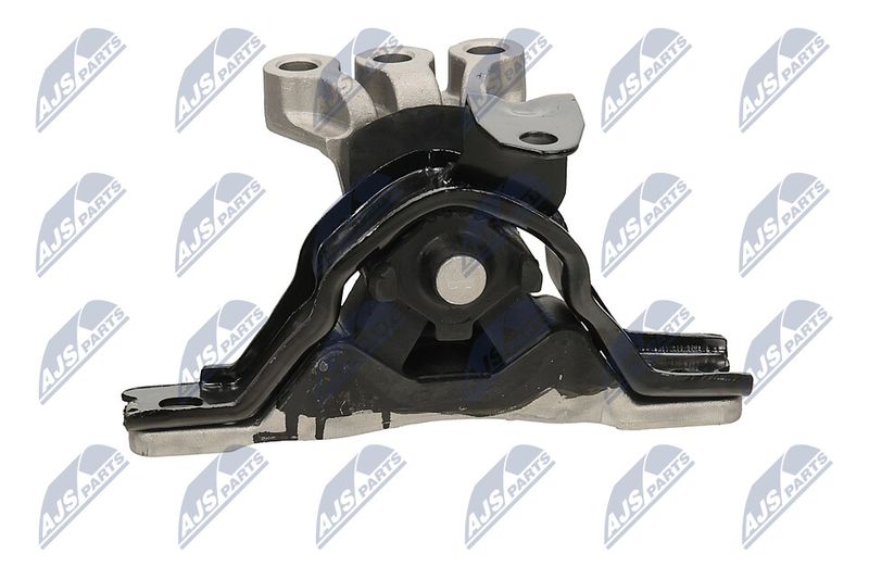 Paigutus, Mootor, NTY ZPS-PL-043