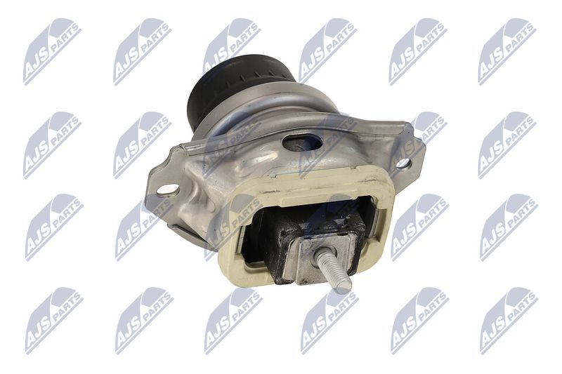 Paigutus, Mootor, NTY ZPS-LR-017