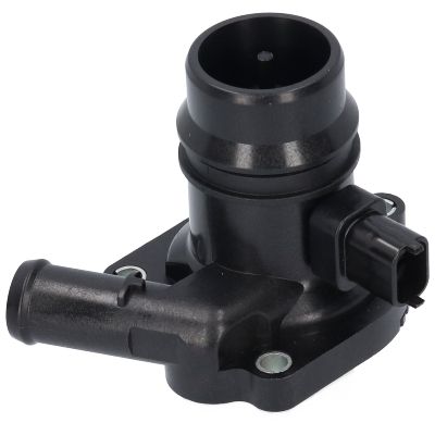 VE81099.JPG