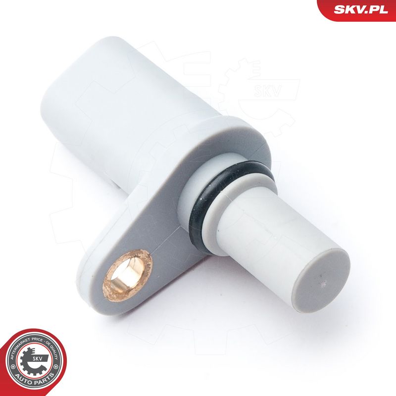 Andur, Nukkvõllipositsioon, ESEN SKV 17SKV260