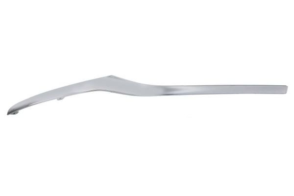 BLIC 5703-05-3555923P Trim/Protection Strip, bumper