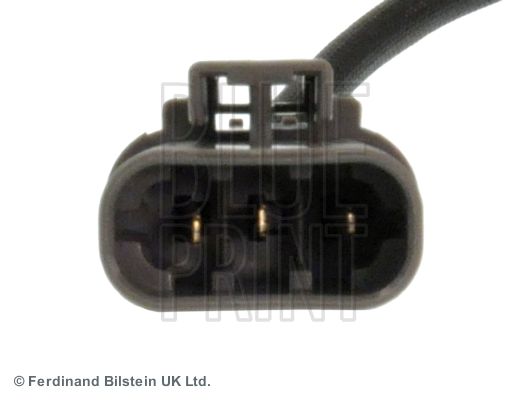 ADN17019_3.JPG