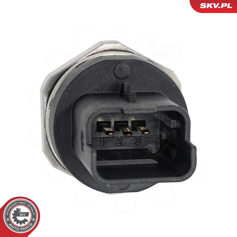 Andur, kütuserõhk, ESEN SKV 95SKV166