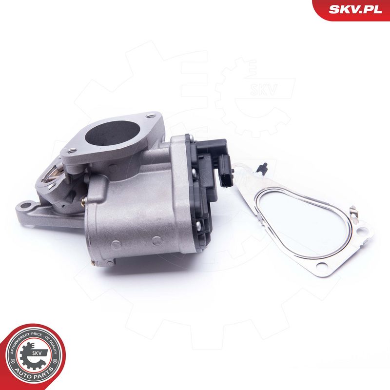 EGR-klapp, ESEN SKV 14SKV165