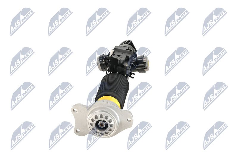 Amort, NTY A-BM-084