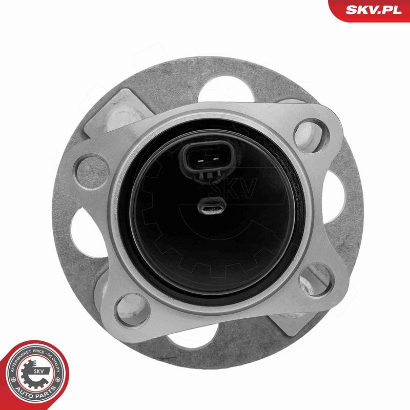 ESEN SKV 29SKV732 Wheel Bearing Kit