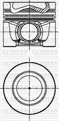 YENMAK Поршень с кольцами і пальцем размер отв. 81.01/STD Volkswagen T-V/VI, Amarok, Golf V/VI/Plus, 2.0TDI 05-, AUDI, S