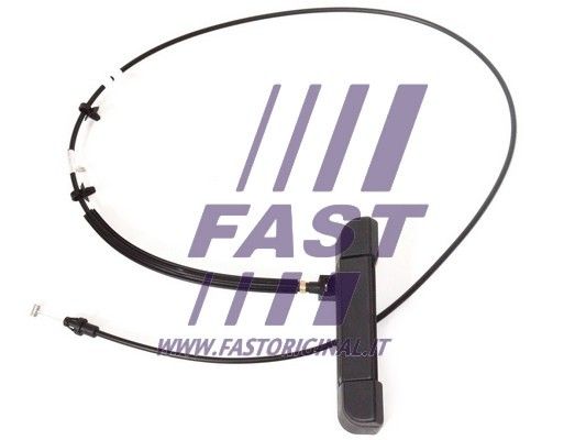 FT94560_2_1.JPG
