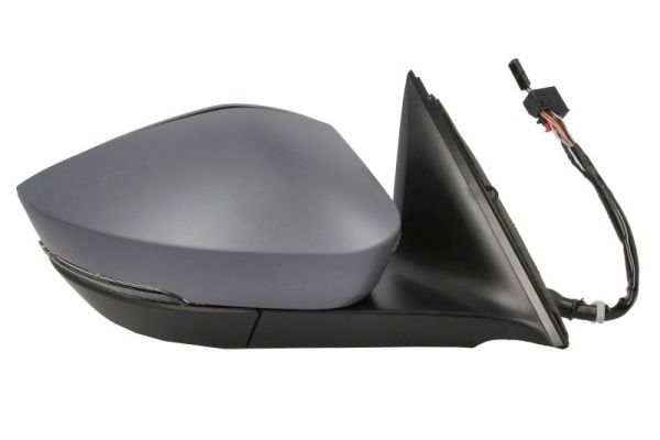BLIC 5402-43-2355317P Exterior Mirror