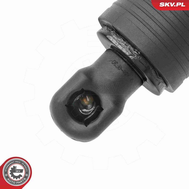ESEN SKV 52SKV195 Electric Motor, tailgate