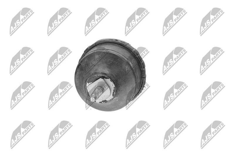 Paigutus, Mootor, NTY ZPS-CH-139