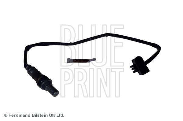 ADJ137010_1.JPG