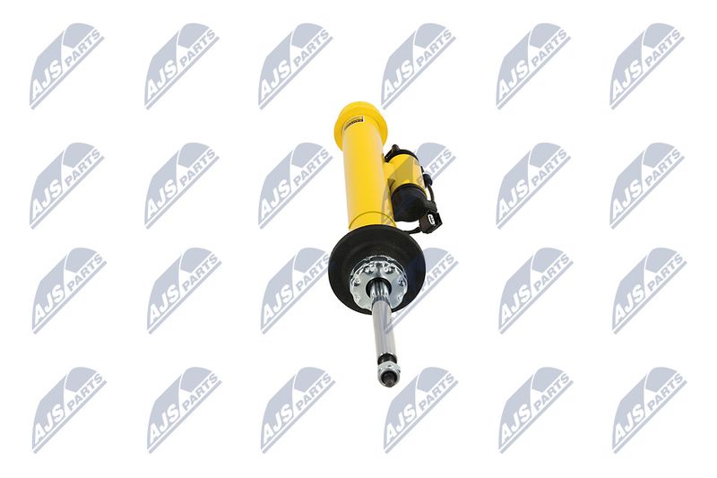 Amort, NTY A-CH-131