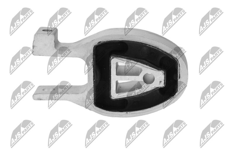 Paigutus, Mootor, NTY ZPS-FR-010