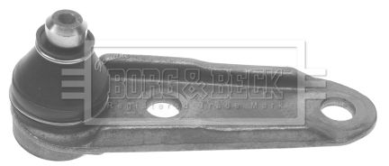 BBJ5362_206774.JPG