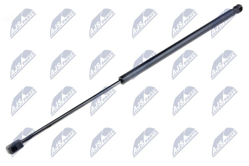 NTY AE-CT-039 Gas Spring, boot/cargo area