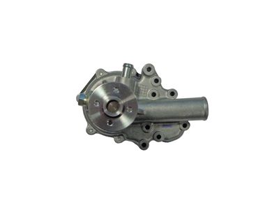 WPW-006 01.JPG