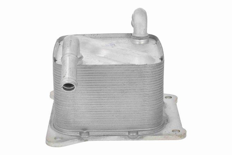 ACKOJA A38-60-0014 Oil Cooler, engine oil