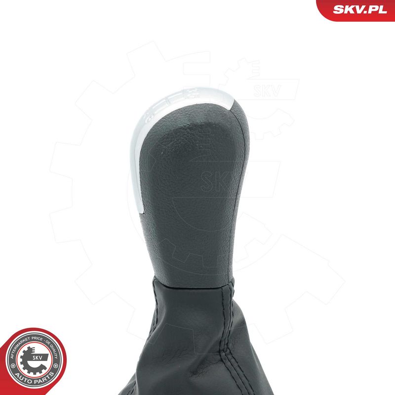 Käigukanginupp, ESEN SKV 63SKV480