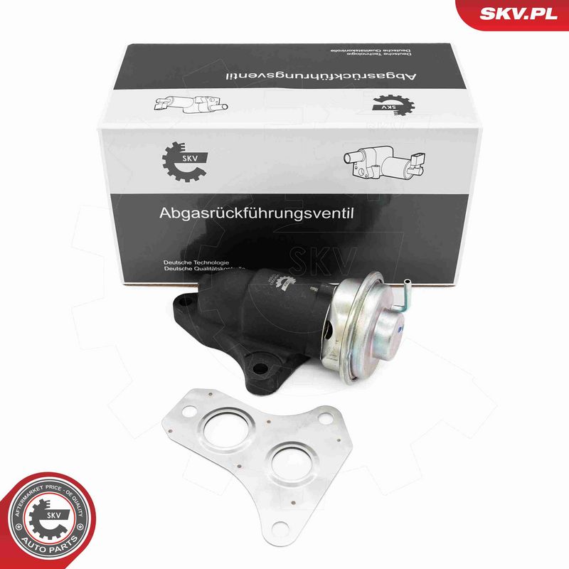ESEN SKV 14SKV263 - EGR Valve