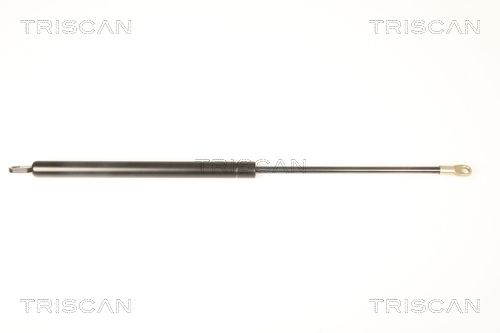 TRIS87109003.JPG
