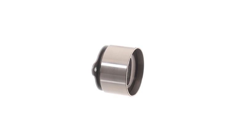 SKF VKM 74600 Įtempiklio skriemulys, paskirstymo diržas