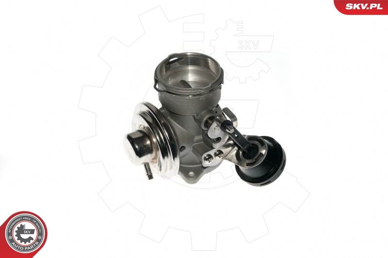 ESEN SKV 14SKV090 EGR Valve