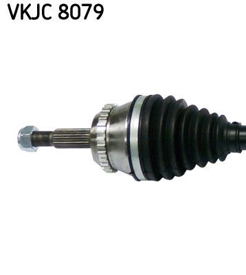 VKJC 8079_2.JPG