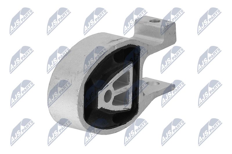 Paigutus, Mootor, NTY ZPS-FR-038