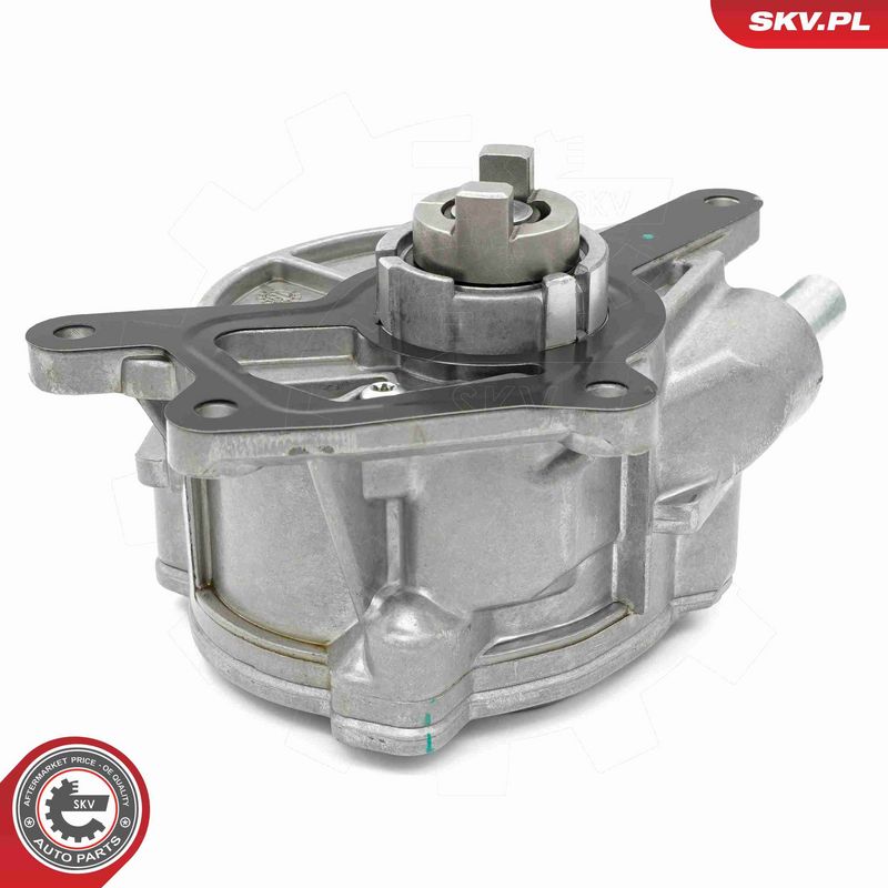 ESEN SKV 18SKV073 Vacuum Pump, braking system